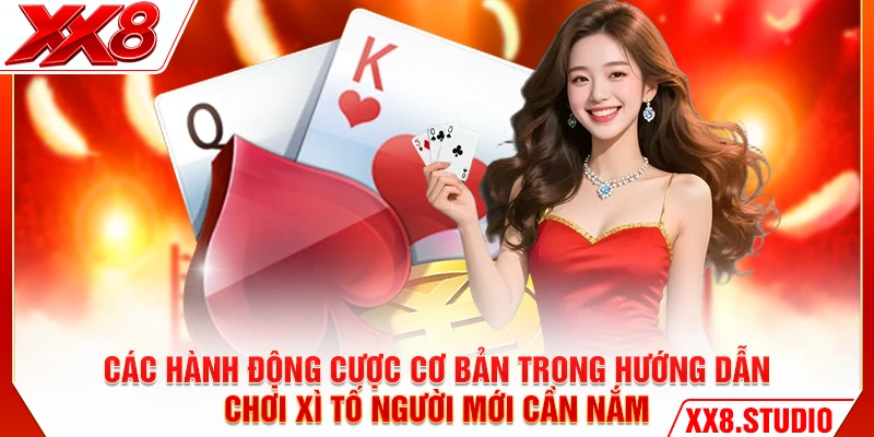 Các hành động cược cơ bản trong hướng dẫn chơi Xì Tố người mới cần nắm