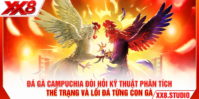 Đá gà Campuchia đòi hỏi kỹ thuật phân tích thể trạng và lối đá từng con gà