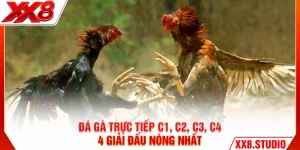 Đá Gà Trực Tiếp C1 C2 C3 C4 - 4 Bồ Gà Nóng Nhất