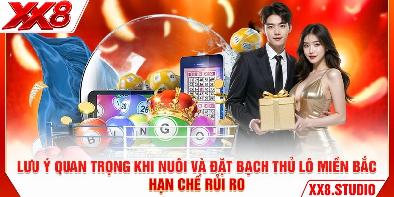 Lưu ý quan trọng khi nuôi và đặt bạch thủ lô miền bắc hạn chế rủi ro