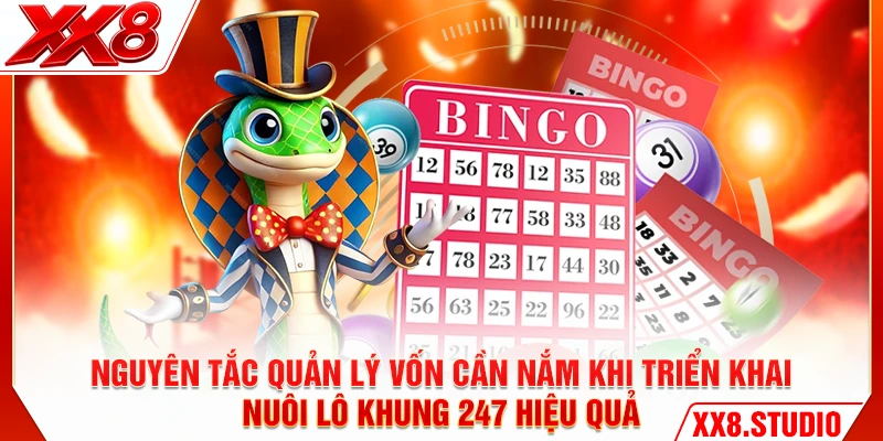 Nguyên tắc quản lý vốn cần nắm khi triển khai nuôi lô khung 247 hiệu quả